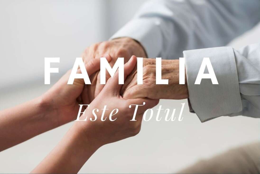 camin de batrani voluntari